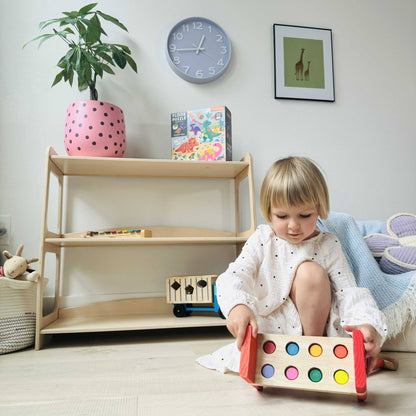 Montessori playshelf